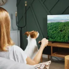 Czy Twój TV ma Bluetooth? Odkryj proste sposoby weryfikacji!