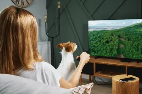 Czy Twój TV ma Bluetooth? Odkryj proste sposoby weryfikacji!