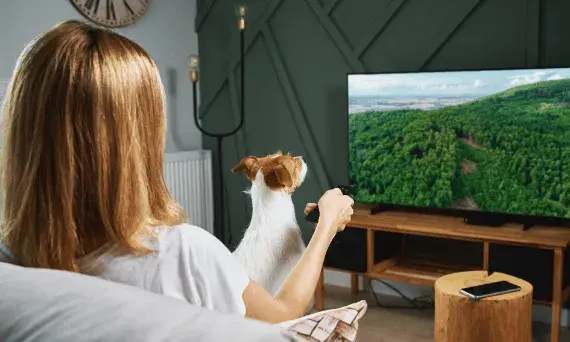 Czy Twój TV ma Bluetooth? Odkryj proste sposoby weryfikacji!